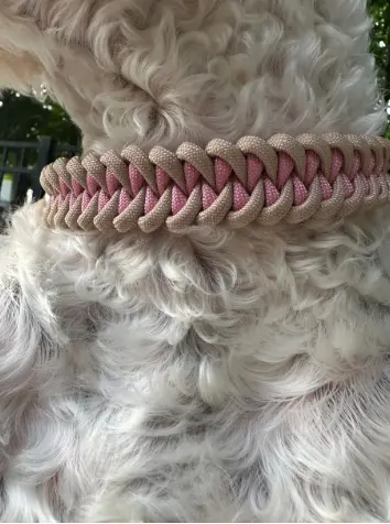 Fishtail Braid in Pink & Light Tan - Handmade Dog Collar Pawsh Pup Co.