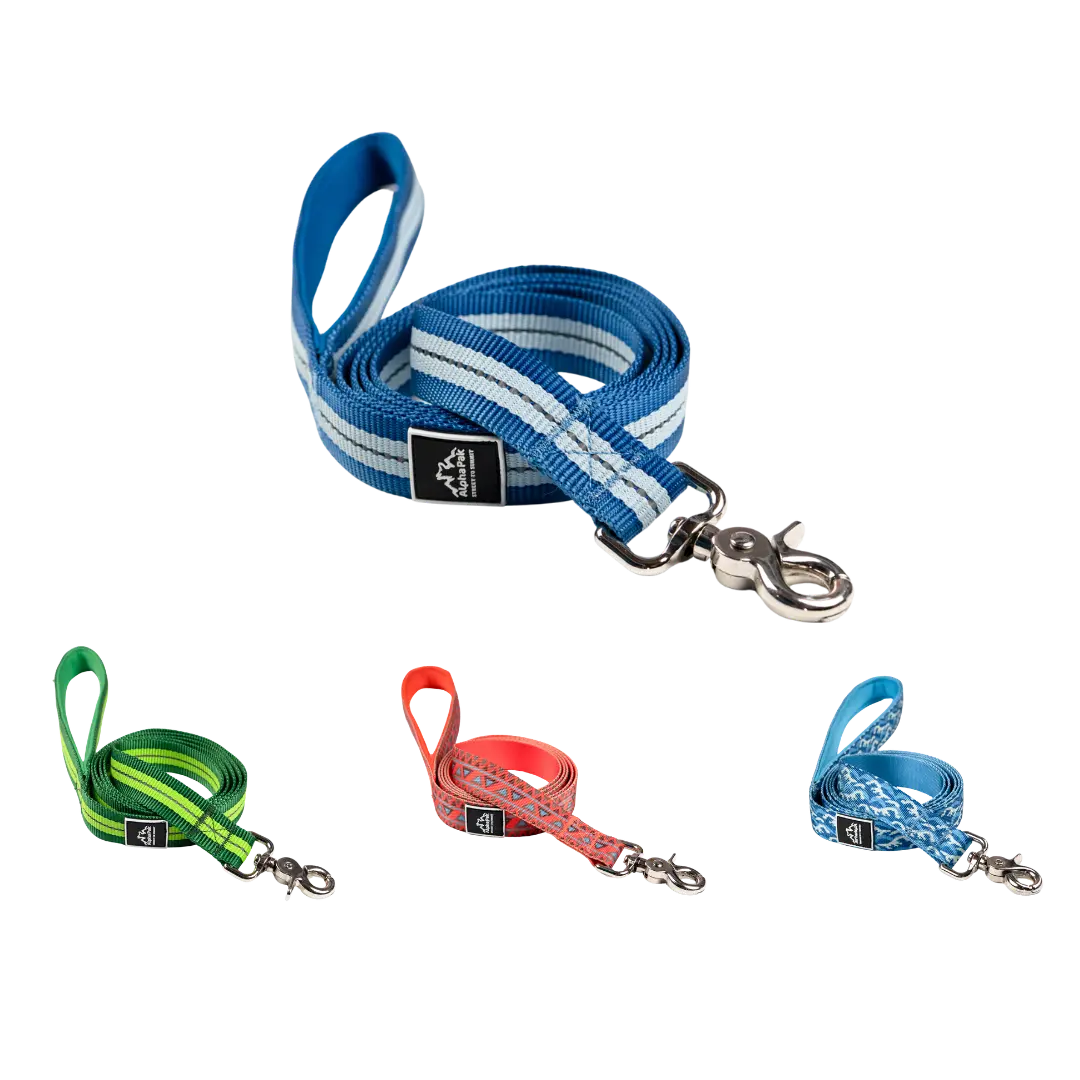 Classic Adventure Flat Dog Leash Alpha Pak