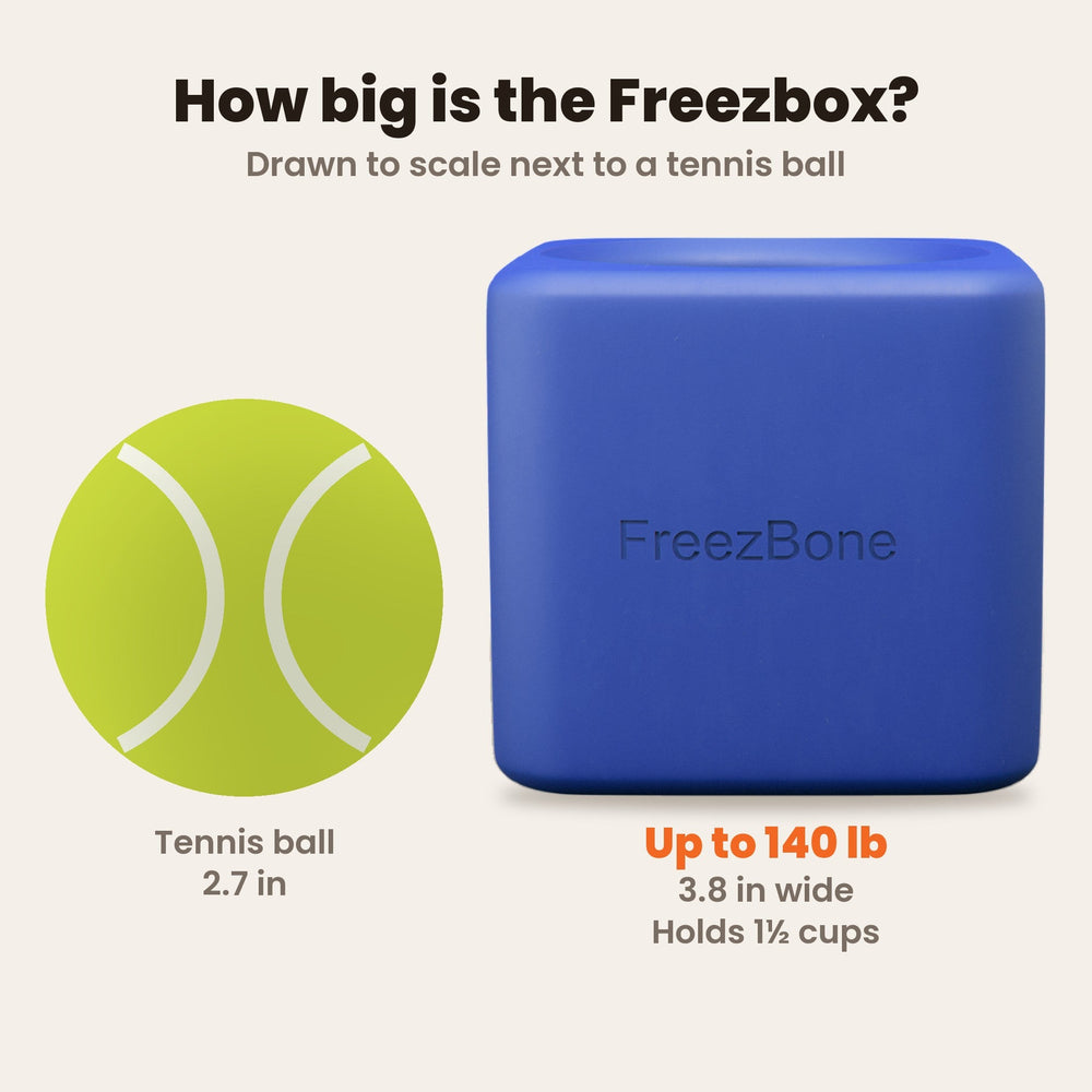Freezbox - Super Tough Treat Toy