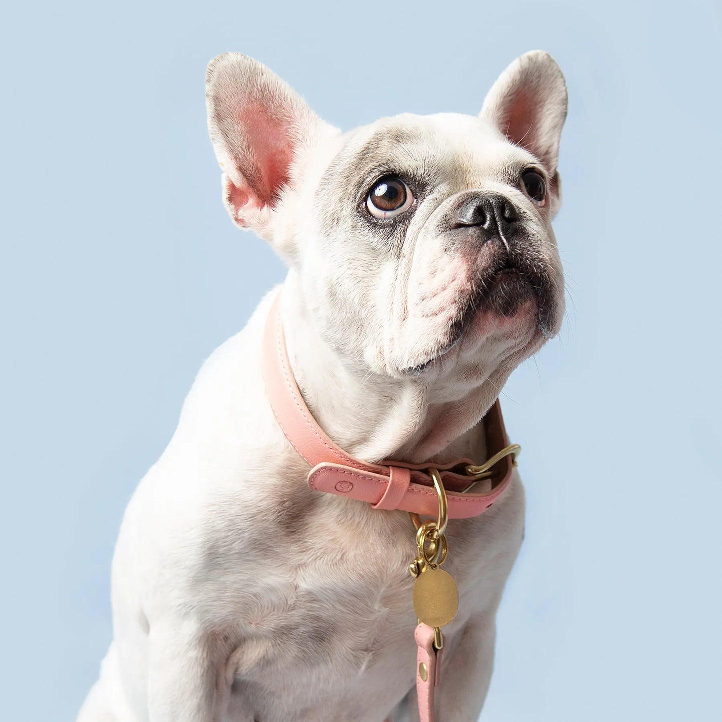 Rosè Collar Ramona For You