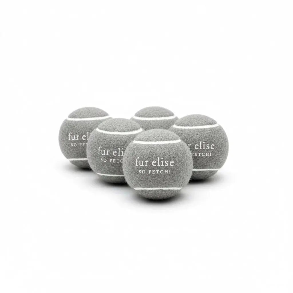 Fur Elise So Fetch! Tennis Ball Pack of 5 - Steel