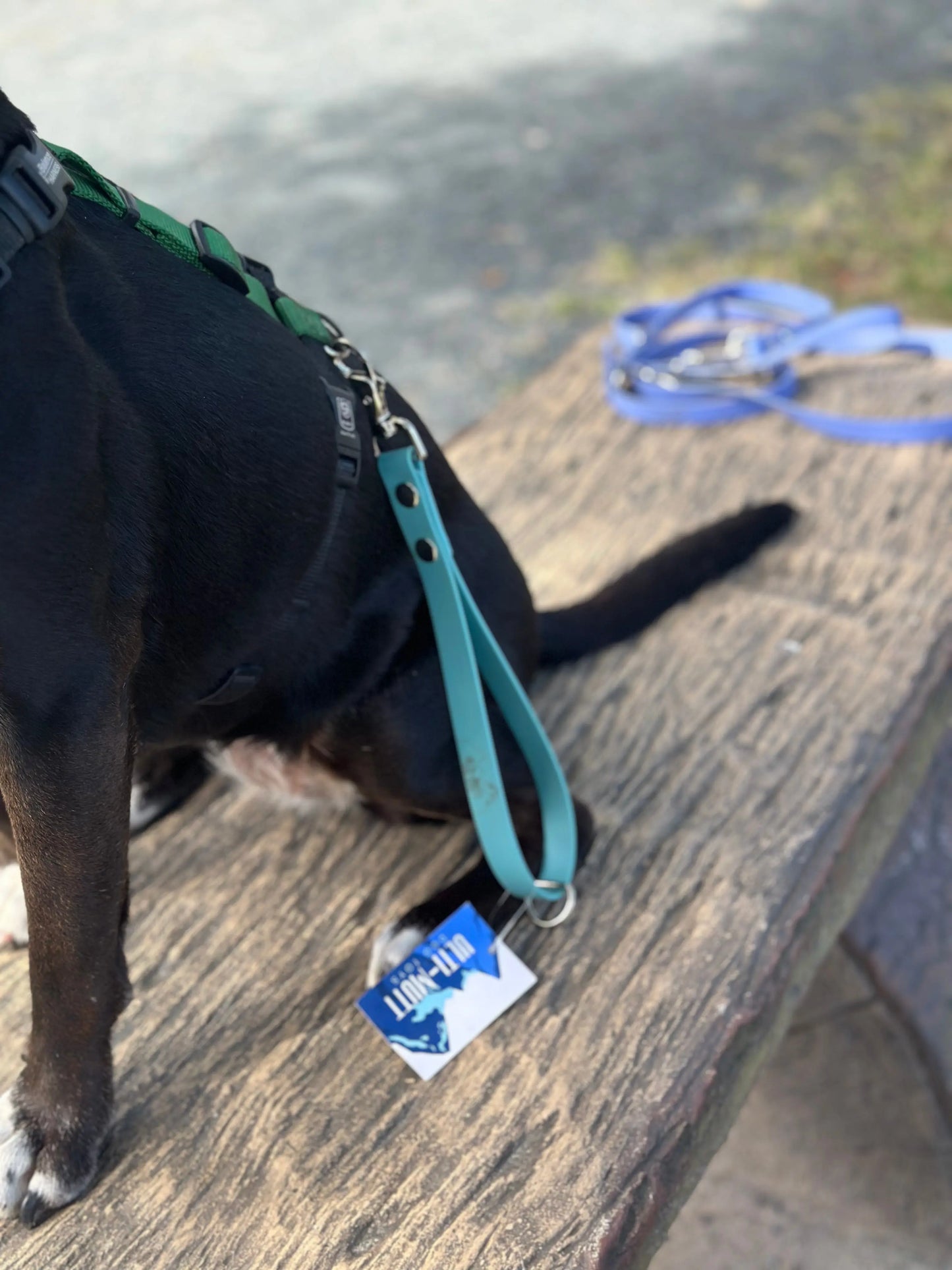 Traffic Lead Ulti-Mutt Toys