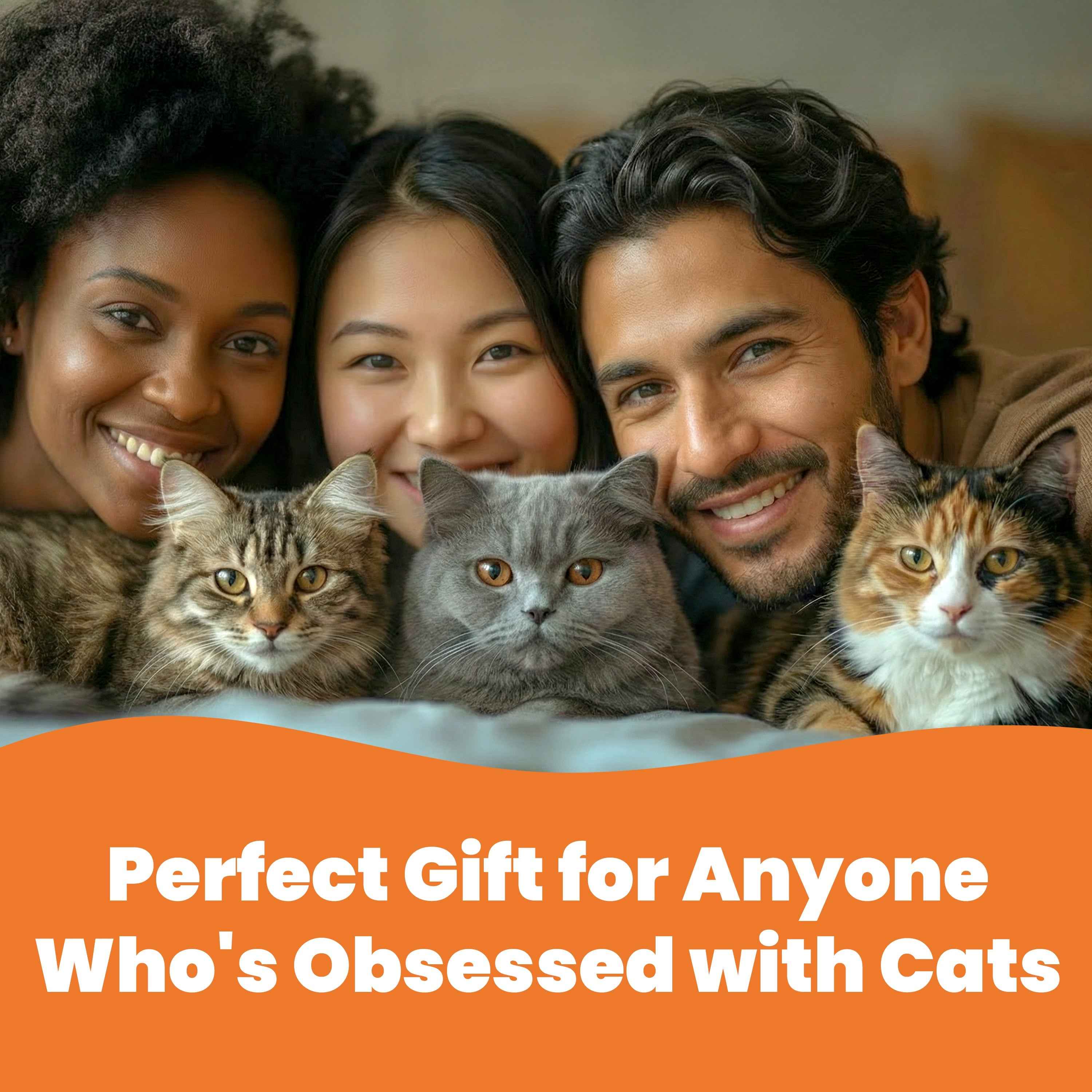 Cat-Themed Stylus Pen Sets