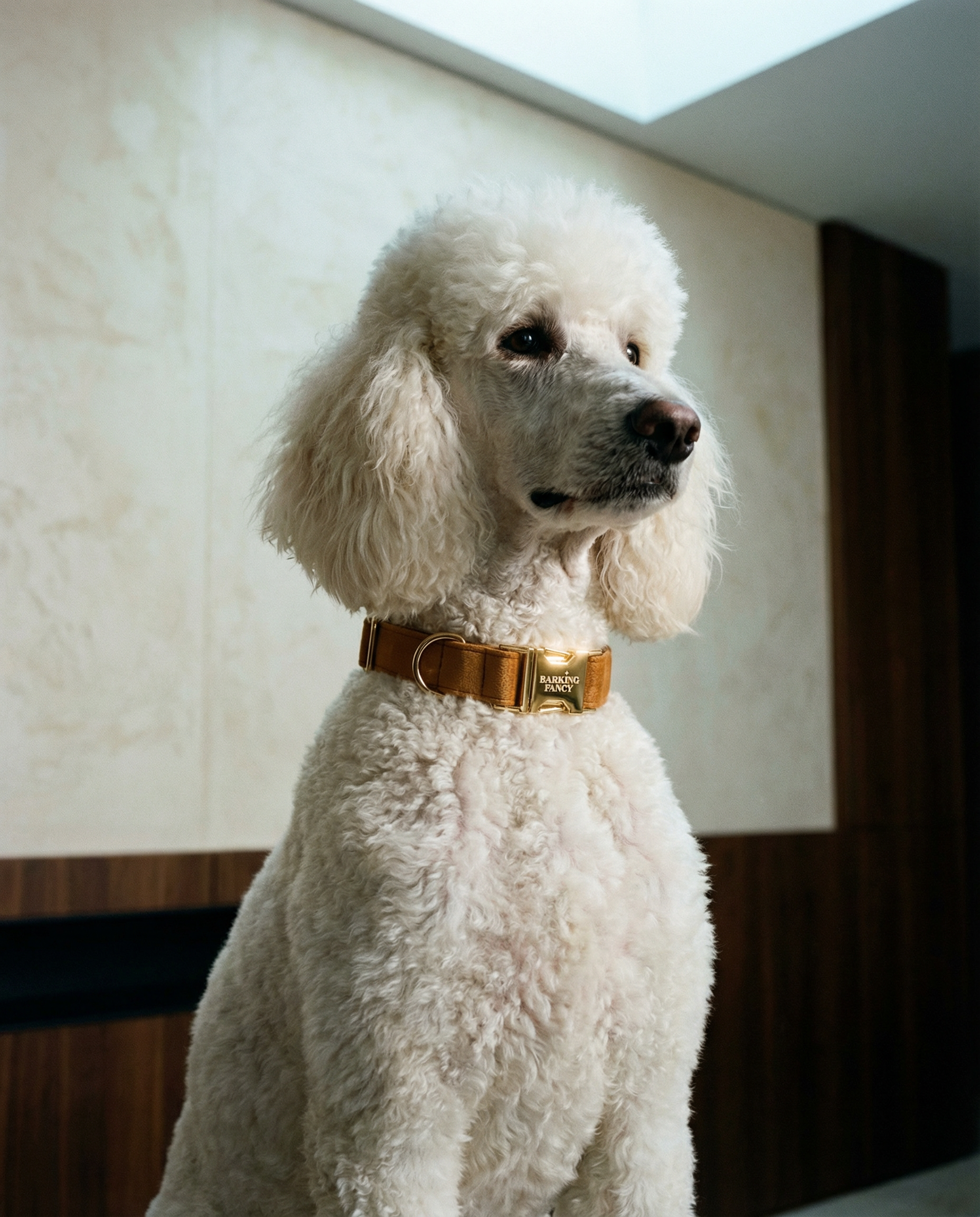 Signature Velvet Collar - Caramel