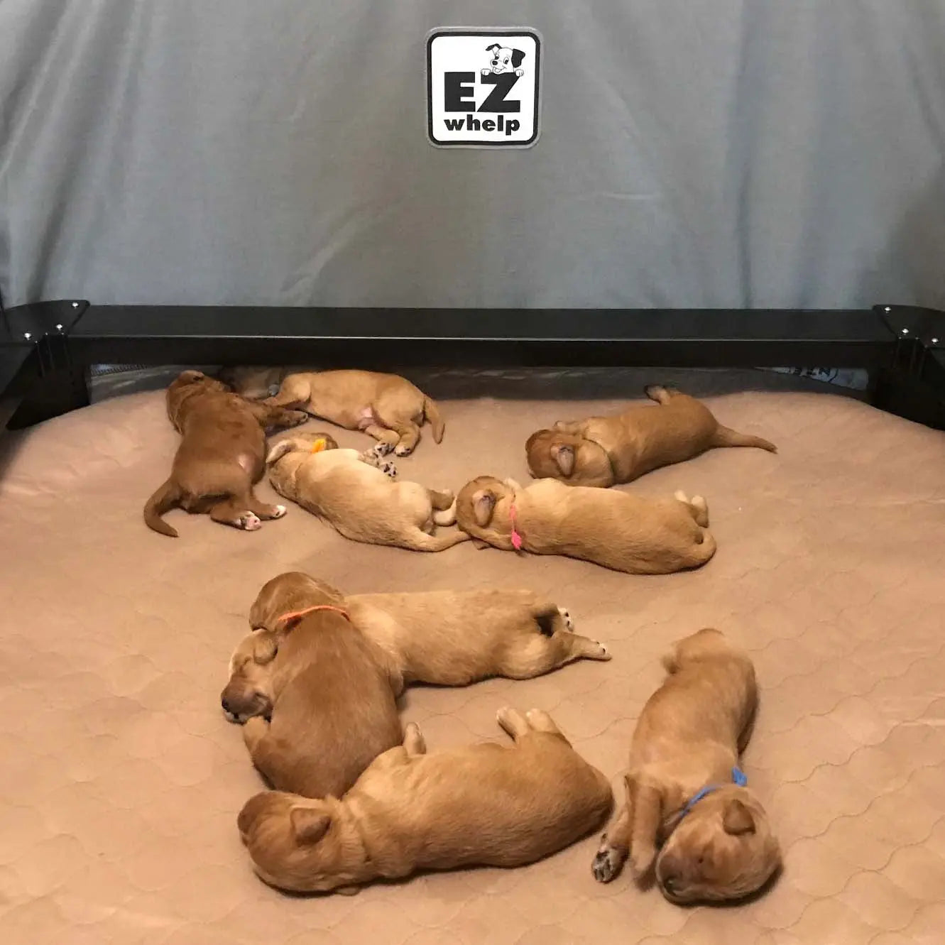 Brown Pad/Mat EZwhelp