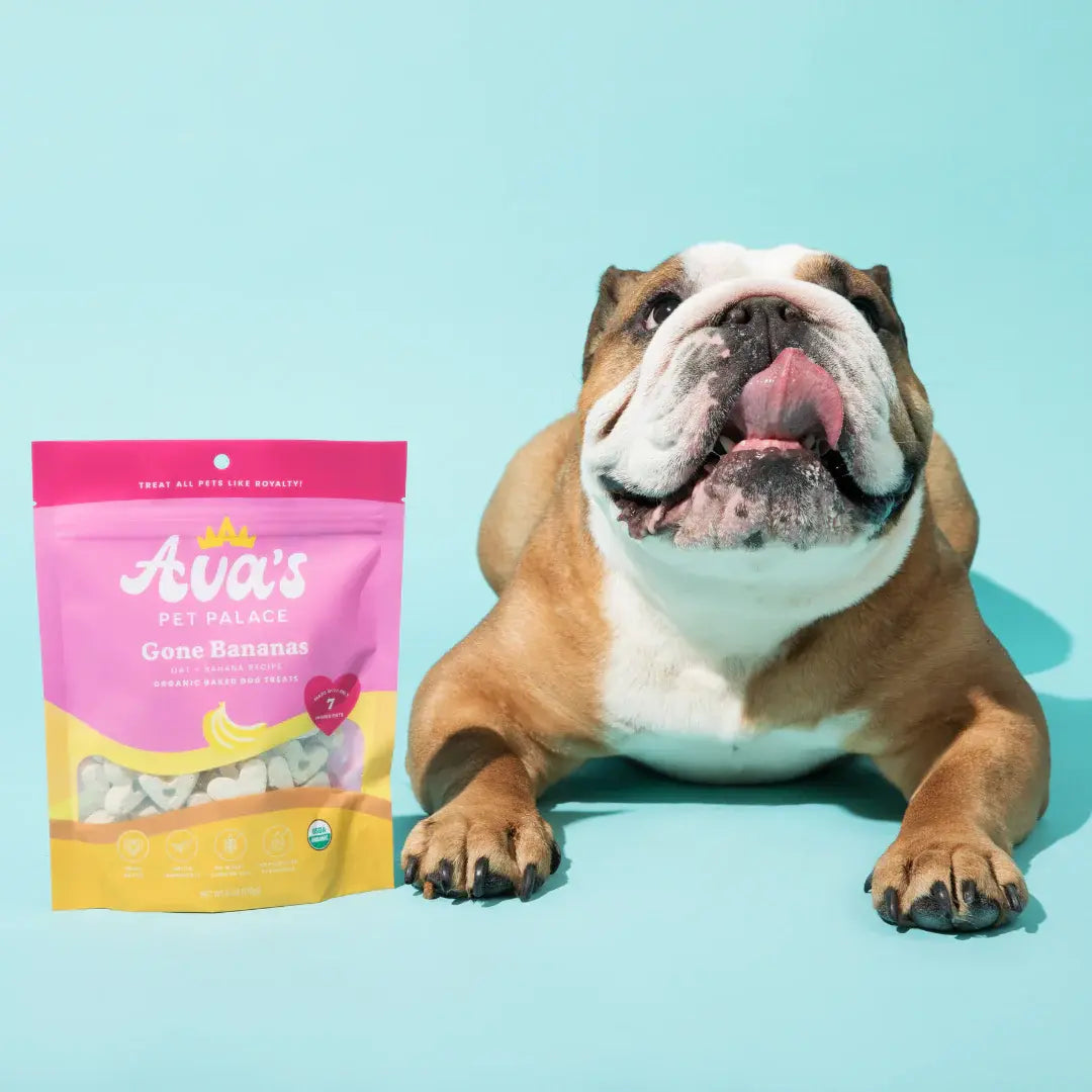 Ava's Pet Palace Organic Oven Baked Dog Treats - Gone Bananas (6 oz) / 2-Pack American Pet Supplies