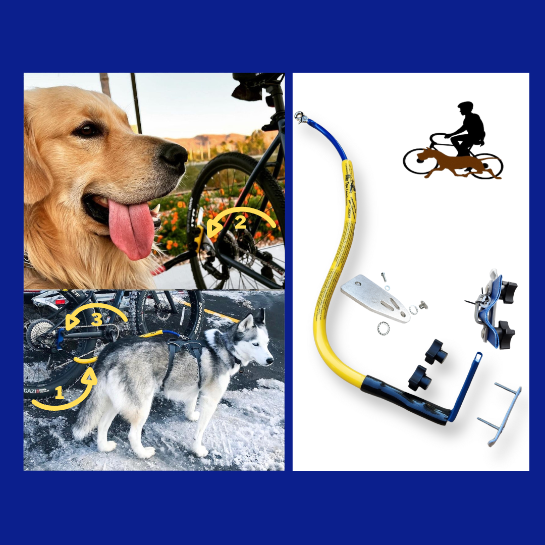 BTL Single Dog Package