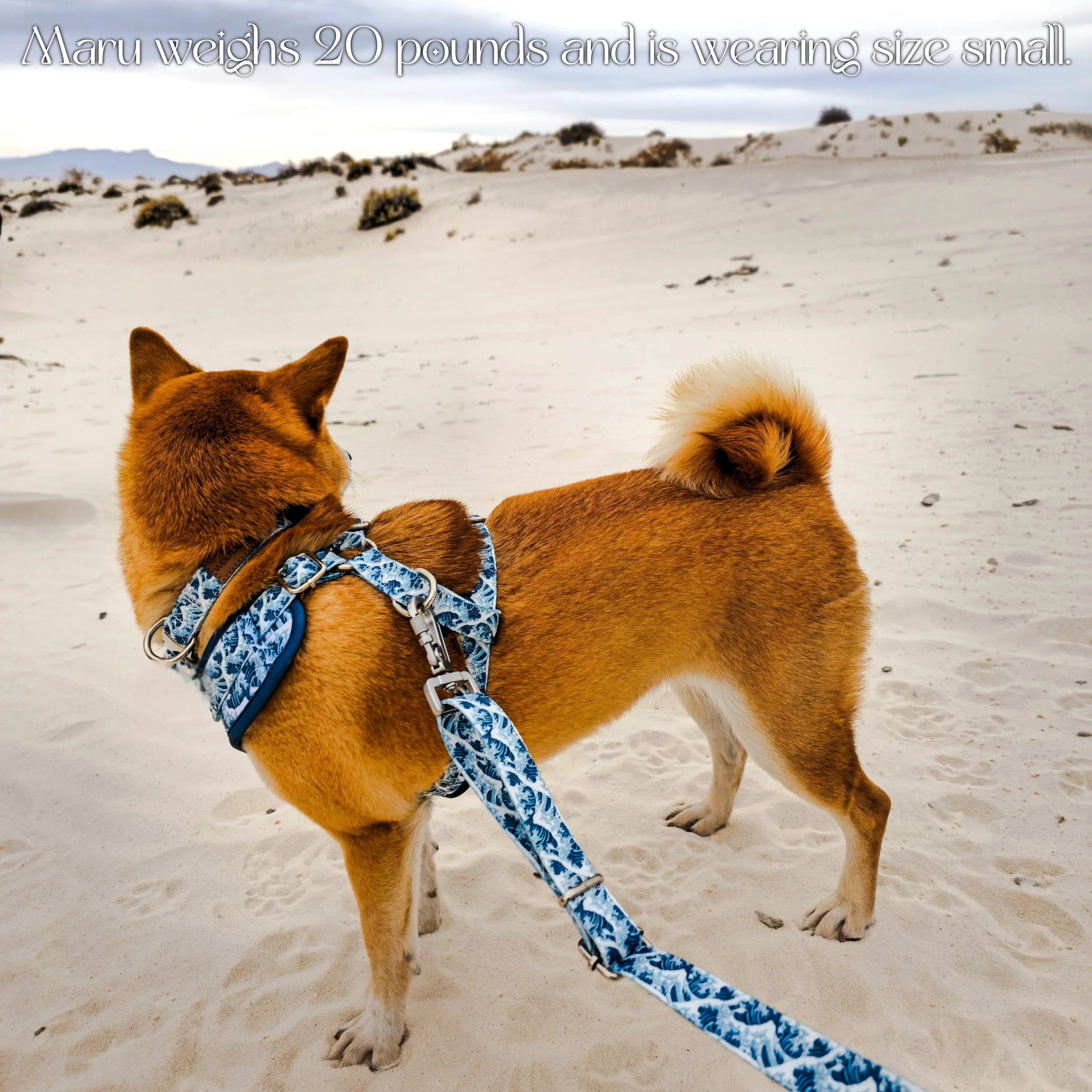 Great Wave Harness WOLFDOGE