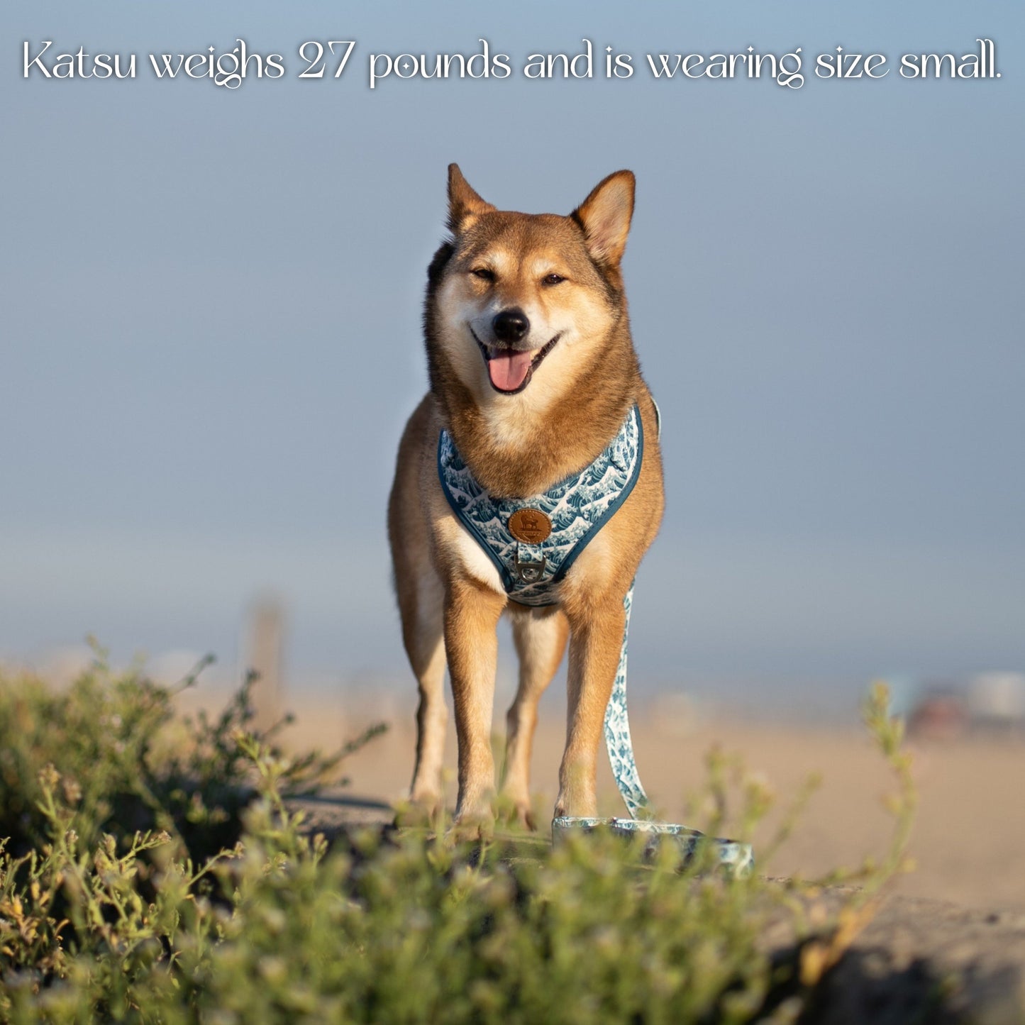 Great Wave Harness WOLFDOGE