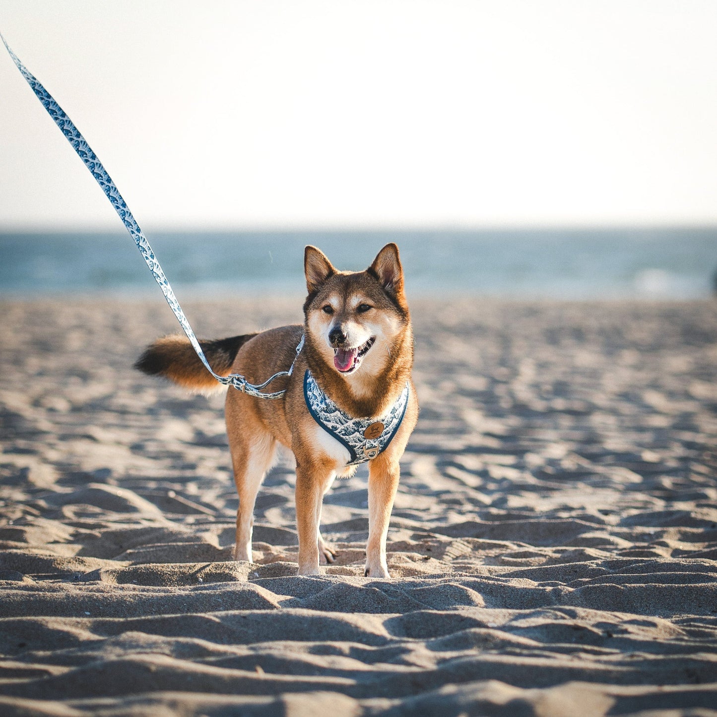 Great Wave Leash WOLFDOGE