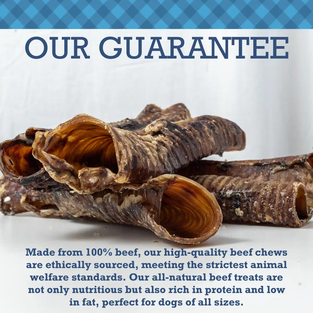 Country Living All-Natural Beef Trachea Dog Treats, Protein-Packed Chews – 12 Inches (5-Pack) American Pet Supplies
