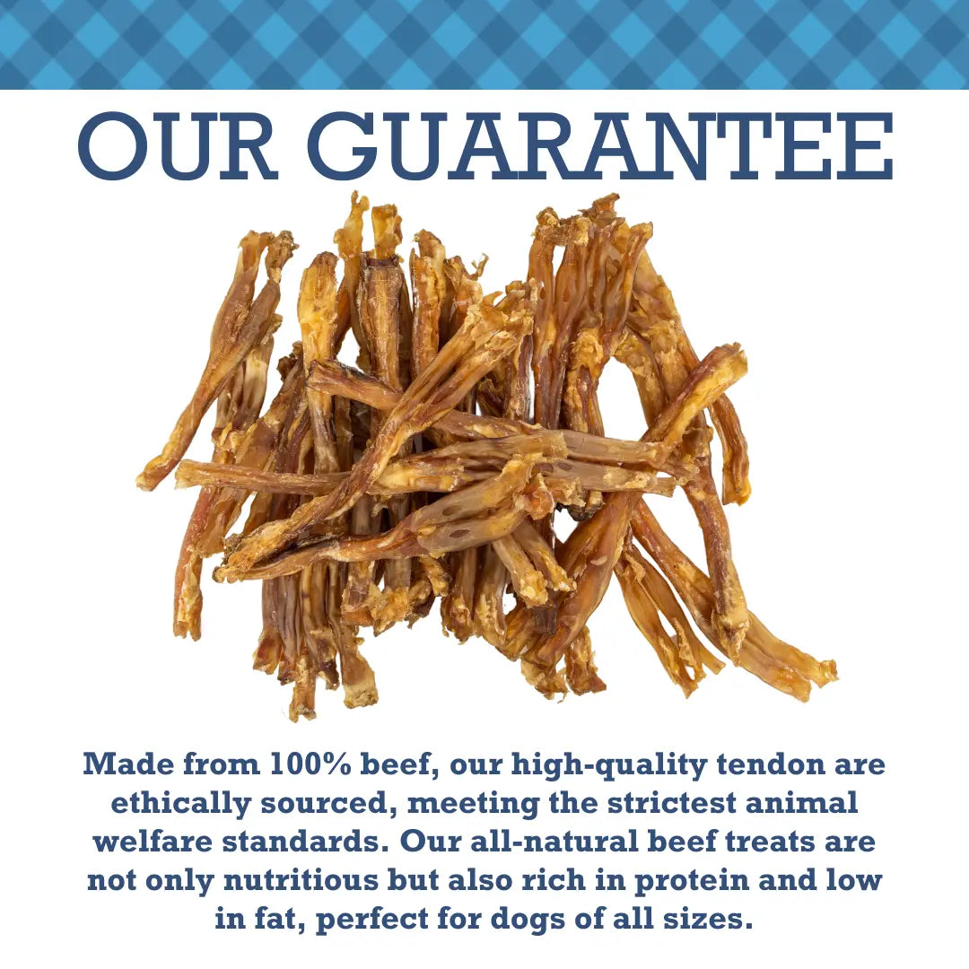 All-Natural Beef Y Tendon Dog Treats – High-Protein, Low-Fat Chews – Jumbo (10-Pack) American Pet Supplies