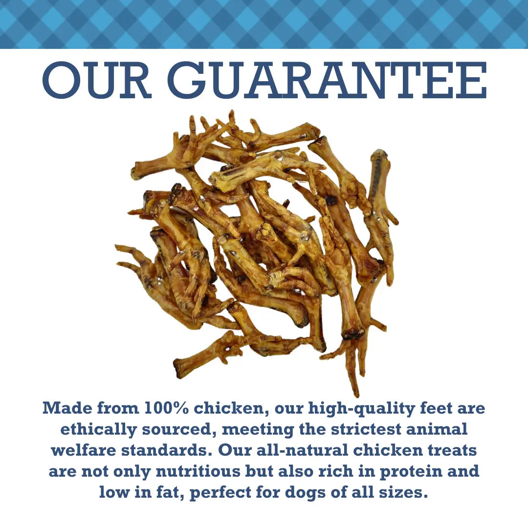 Country Living All-Natural Chicken Feet Dog Treats, Crunchy Snacks for Joint Support – (20-Pack) American Pet Supplies