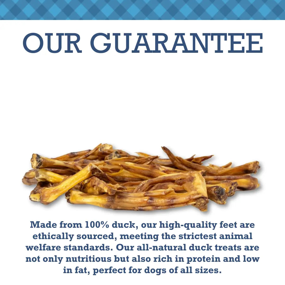 Country Living All-Natural Duck Feet Dog Treats – Crunchy, Long-Lasting Chews – (20-Pack) American Pet Supplies