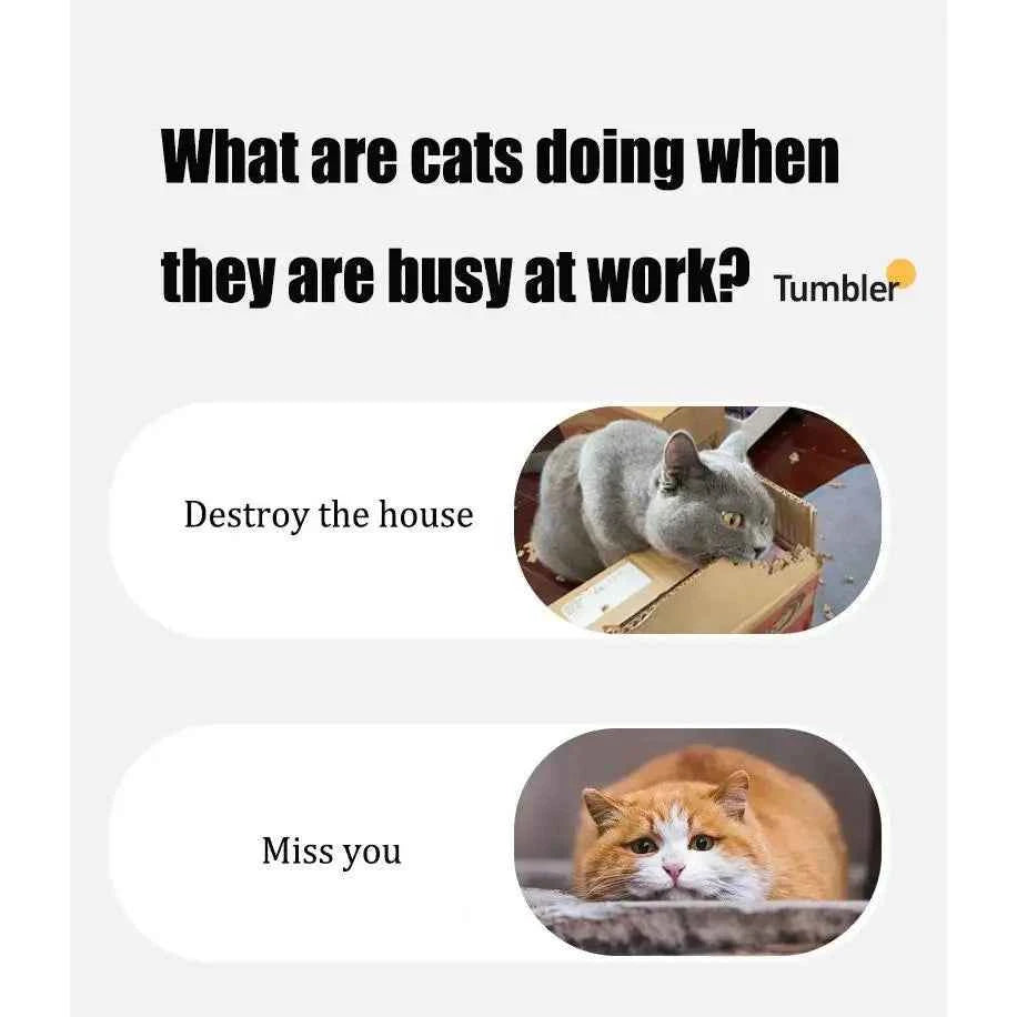 Automatic Rolling Cat Toy - Smart Interactive Pet Toy
