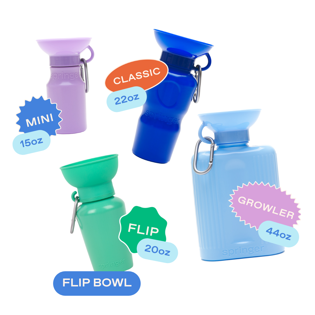 22oz Original Dog Travel Water Bottle Springland Pets