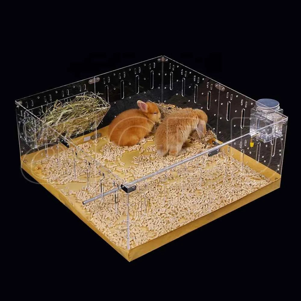New Design DIY Transparent Acrylic Small Animal Pet Enclosure Breathable Expandable Cage for Guinea Pigs and Hamsters