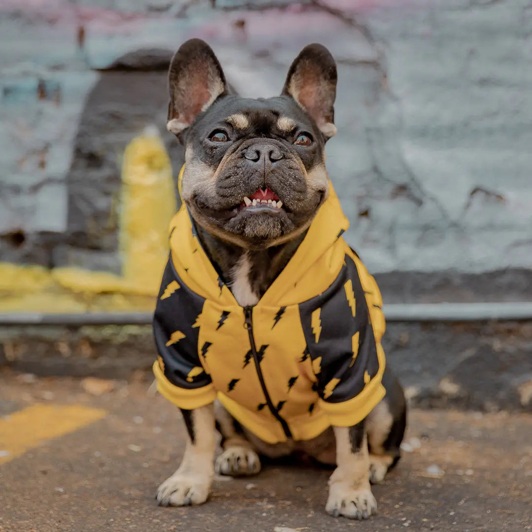 Pawgwarts Hoodie Pawmigo