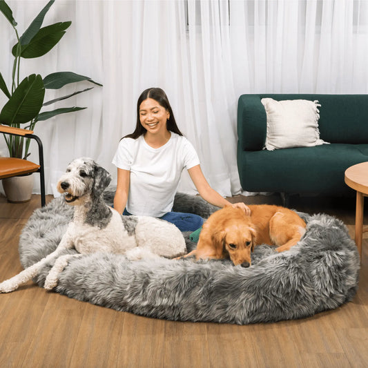 PupCloud™ Human-Size Faux Fur Memory Foam Dog Bed - Charcoal Grey Paw.com
