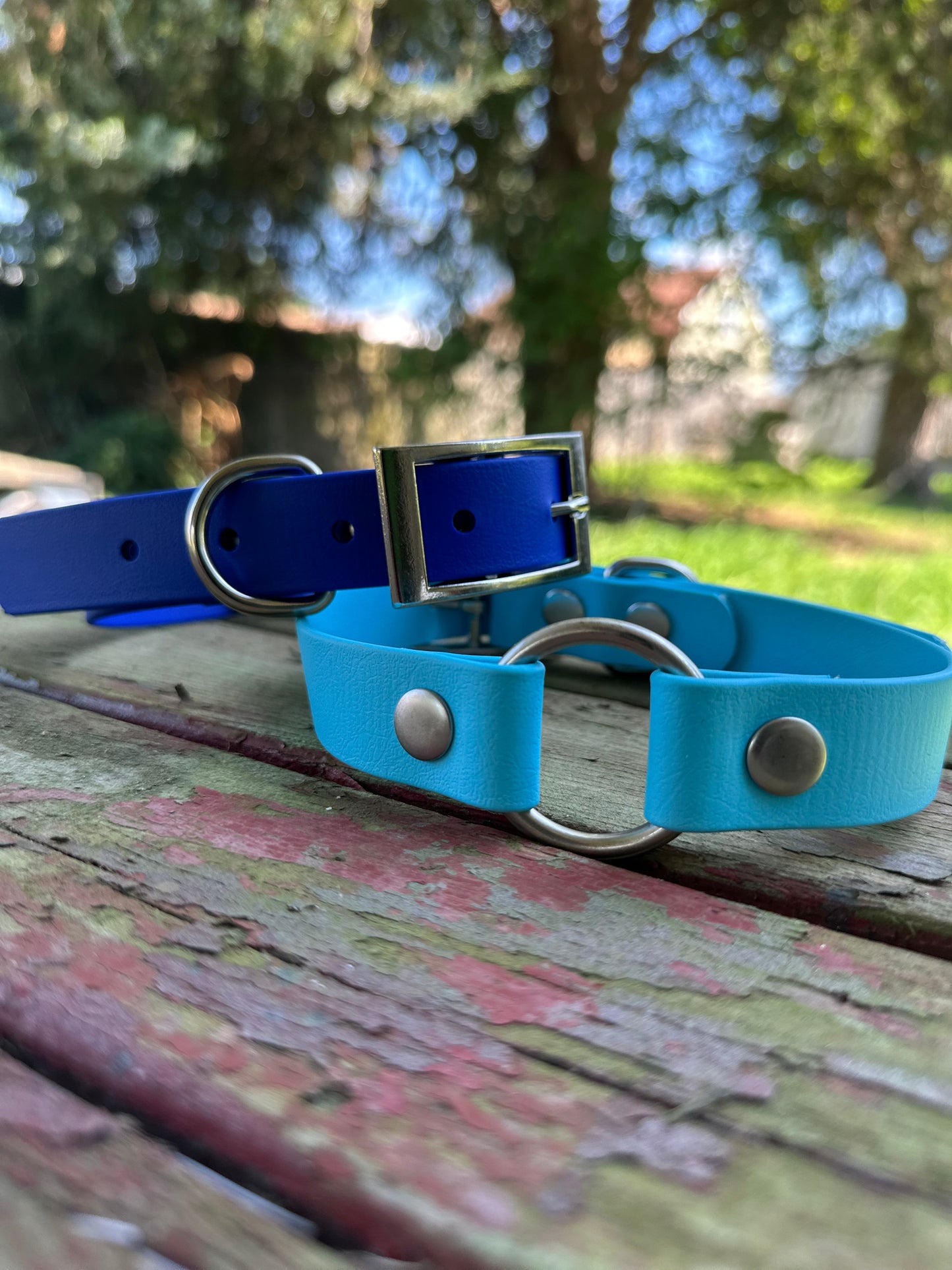 Sport Collar - Biothane Ulti-Mutt Toys