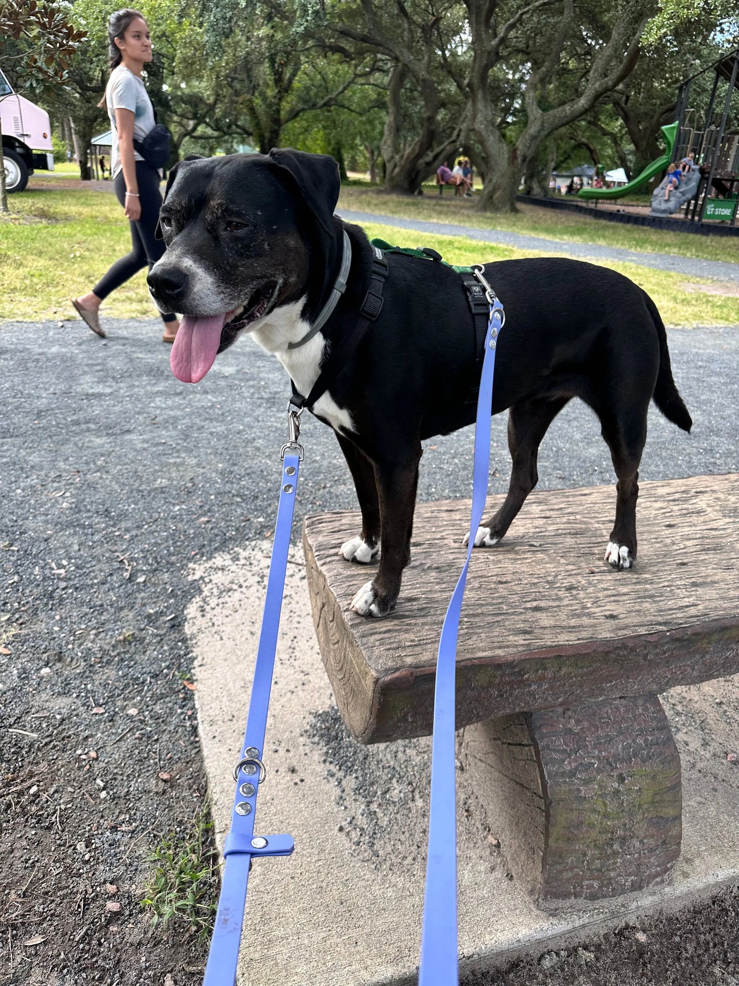 Eurolead - 8 Way Leash Ulti-Mutt Toys