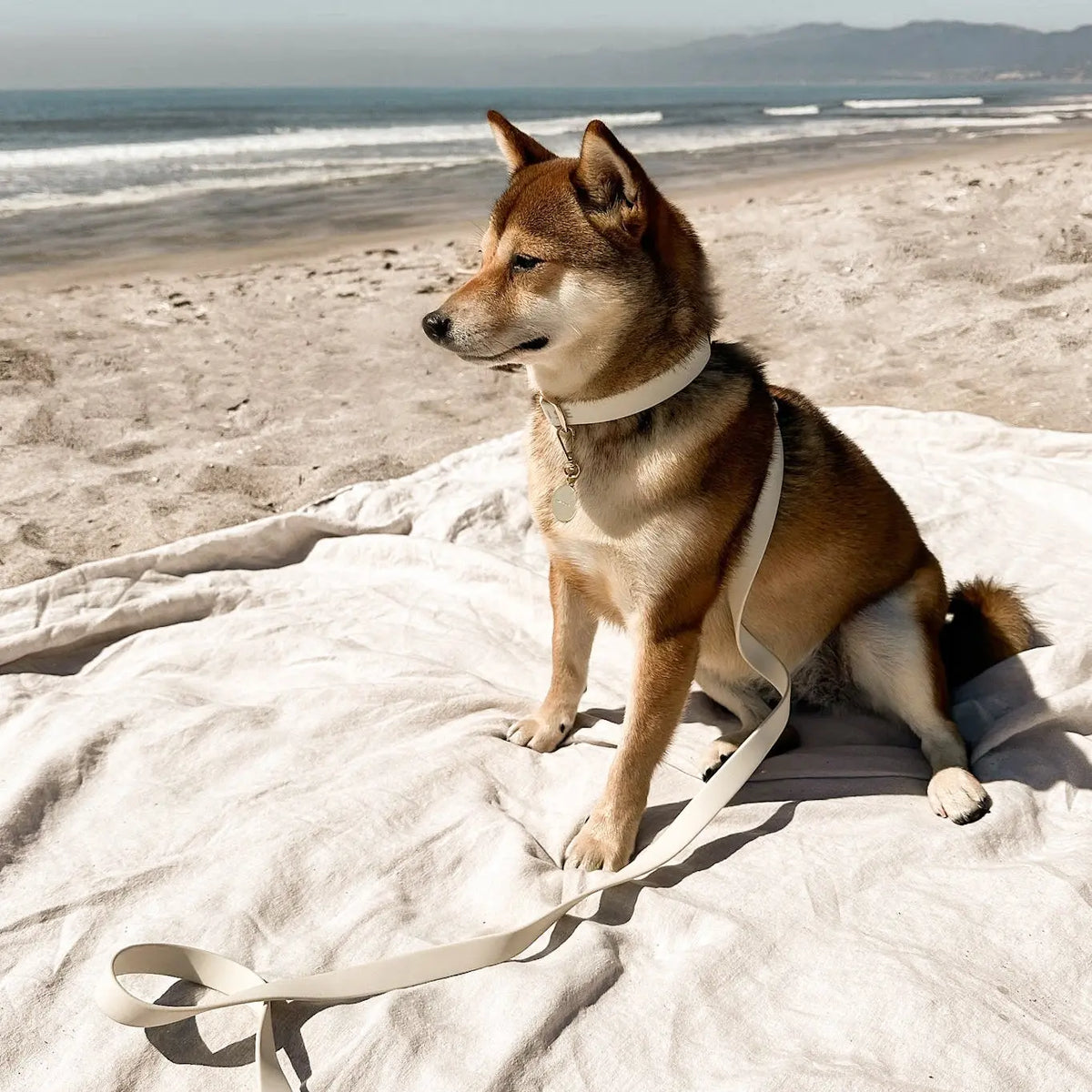 Fur Elise The Ultimate Walk Set - Bone