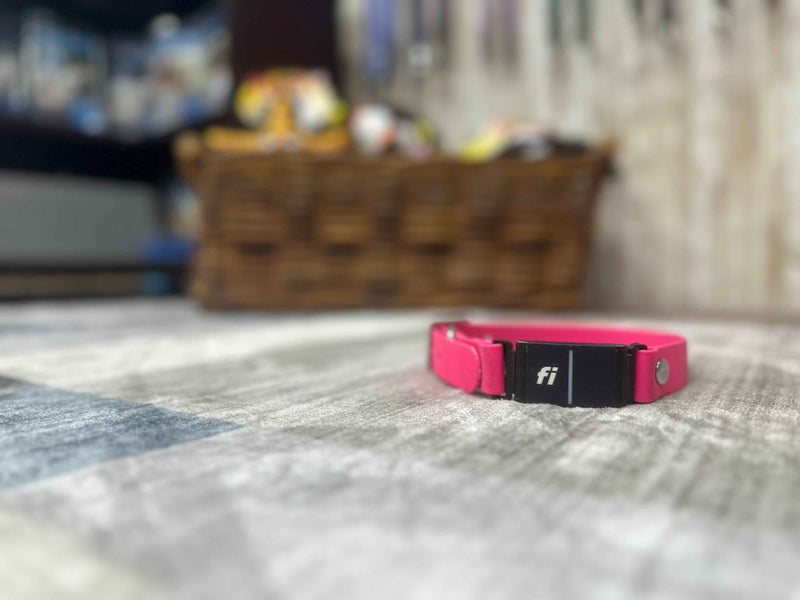 BioThane® Fi Series 3 Compatible Dog Collar | Custom 1" Waterproof Band *