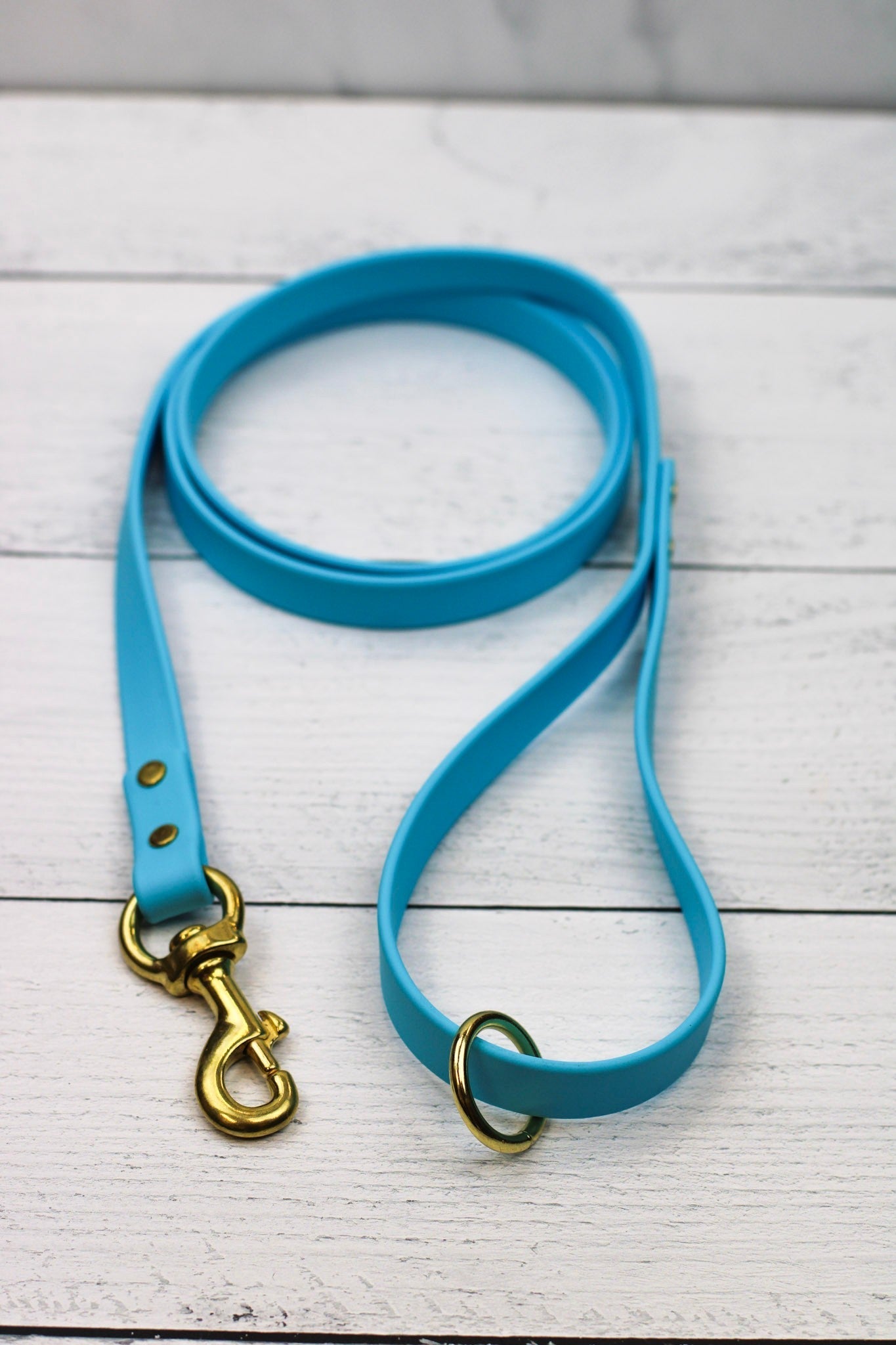 Blueberry Bliss Biothane Leash Le Gray Haus