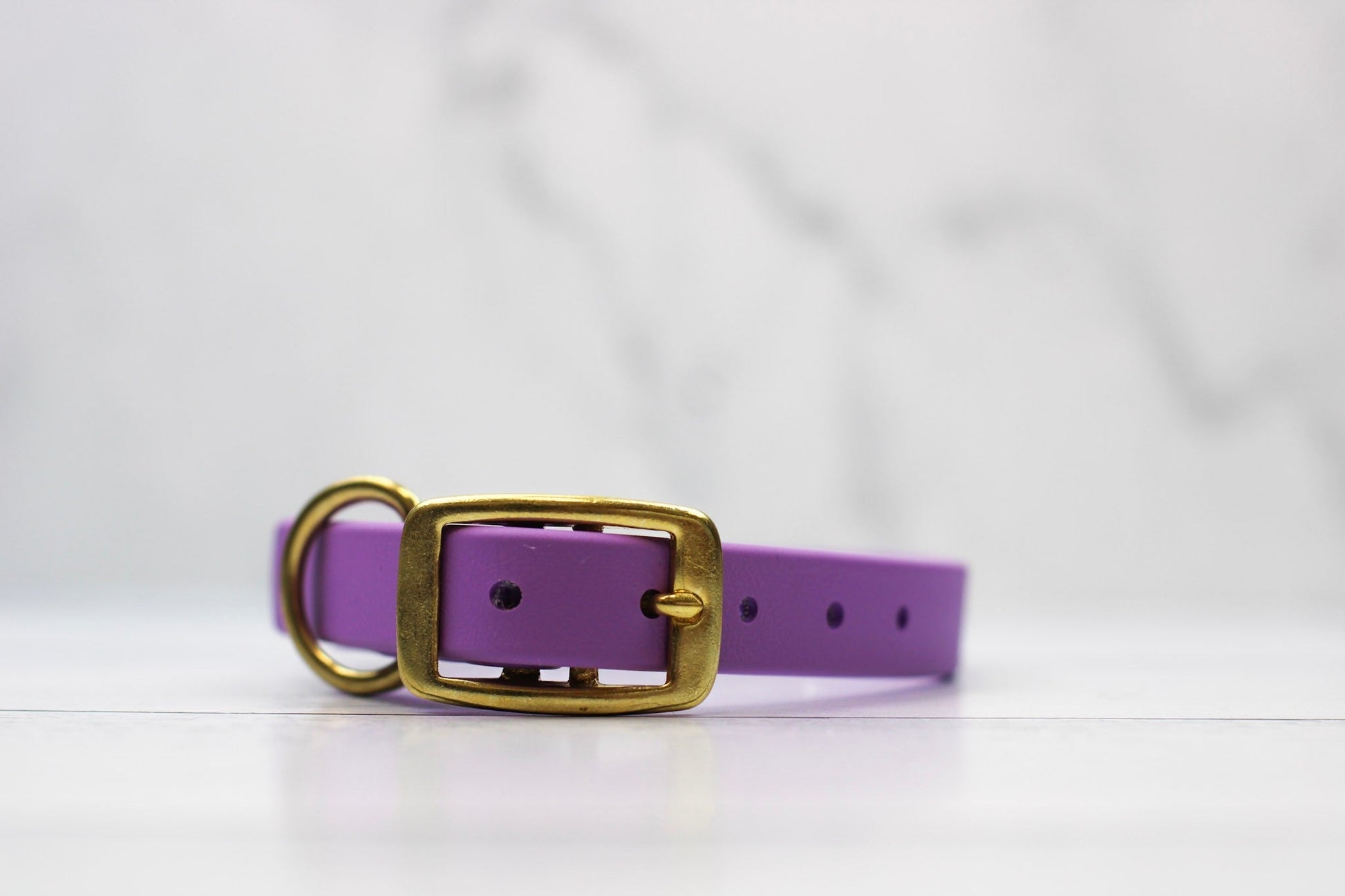 Taro Tango Biothane Collar Le Gray Haus