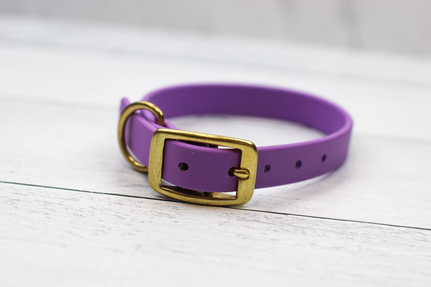 Taro Tango Biothane Collar Le Gray Haus