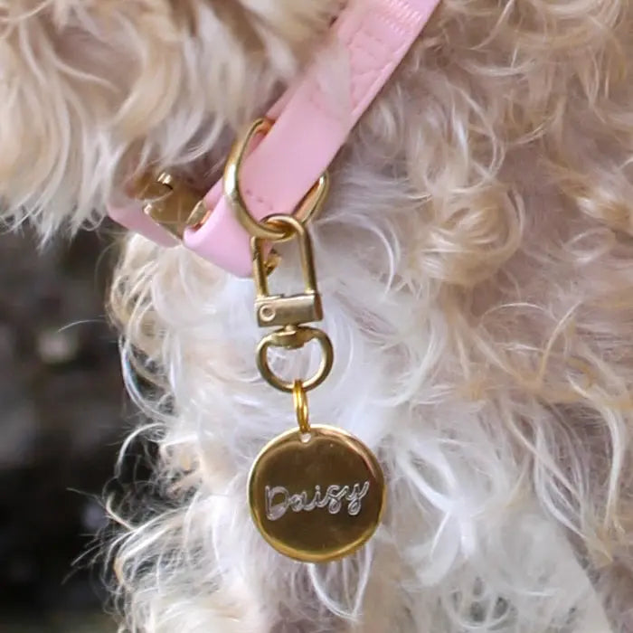 Fur Elise Collar - Rose