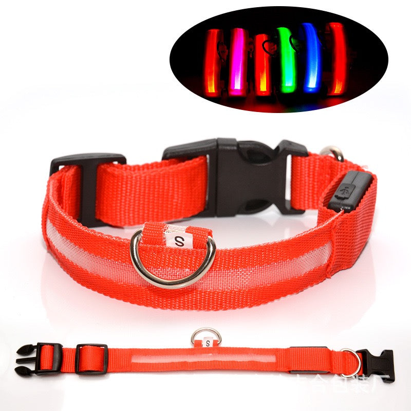 Milou & Lumi LED Glowing Pet Collar - Red Dr. Milou