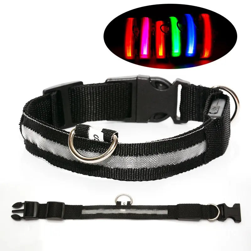 Milou & Lumi LED Glowing Pet Collar - Rainbow - K9 Outdoors