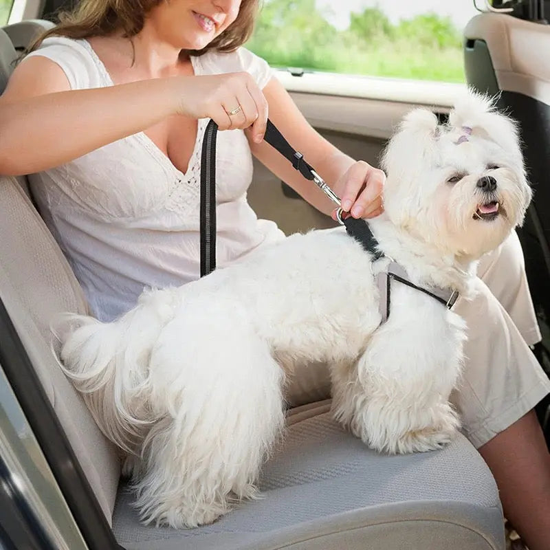 Milou & Lumi Adjustable Pet Car Seat Belt Dr. Milou