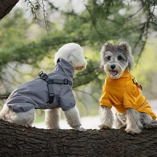 Milou & Lumi Dog Waterproof Reflective Jacket with Harness - K9 Outdoors