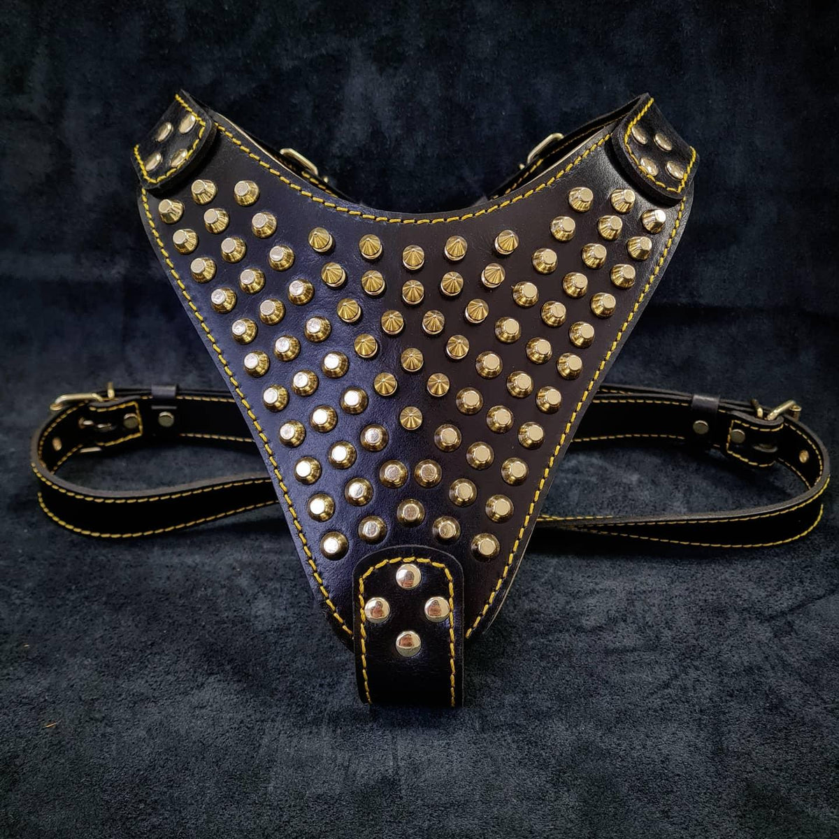 Bestia Gladiator Leather Dog Harness – Gold/Silver