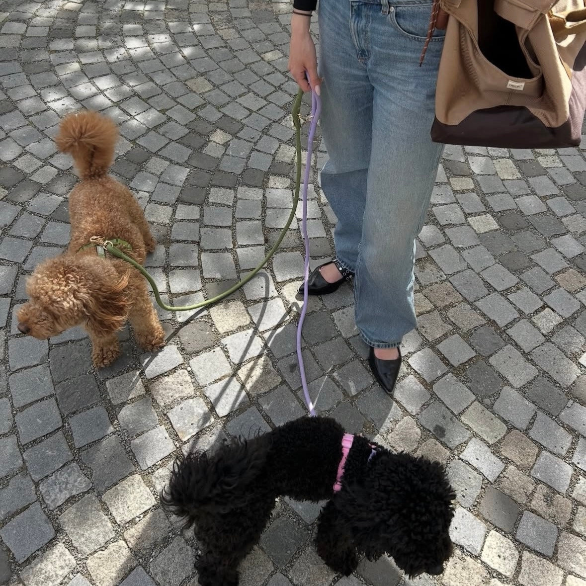 'Moss Green' - Braided Rope Leash