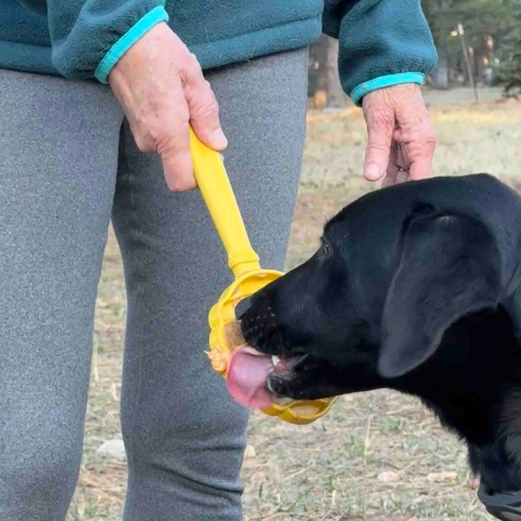 eStick Hand-Held Dog Enrichment Target Training Toy - Interactive Lick Stick | USA Made