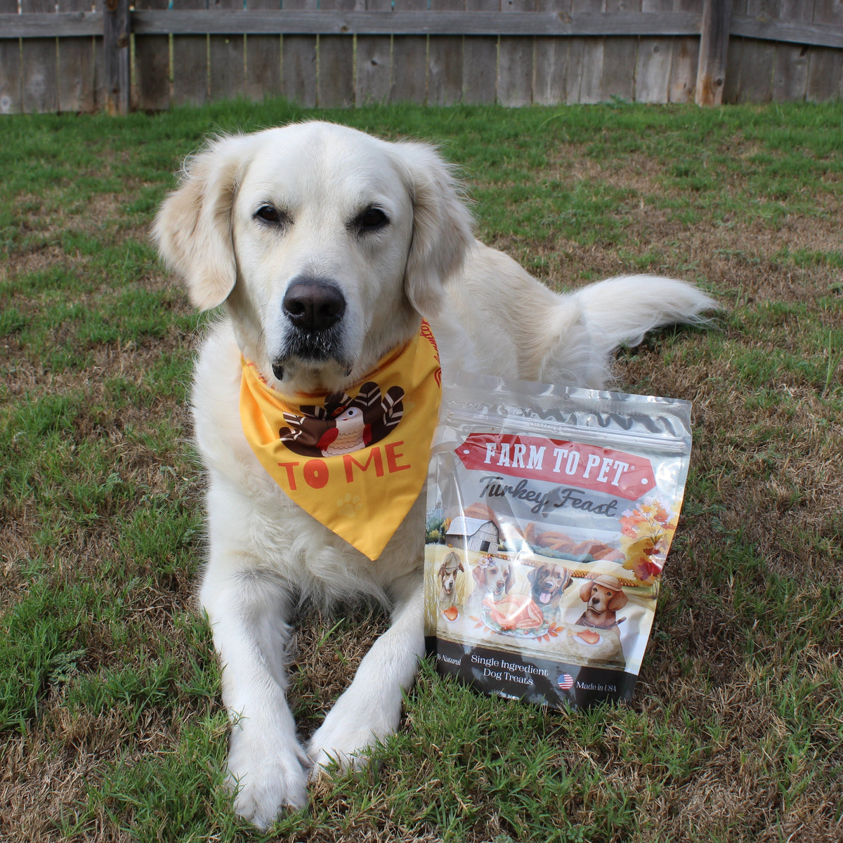 Turkey Feast Chips