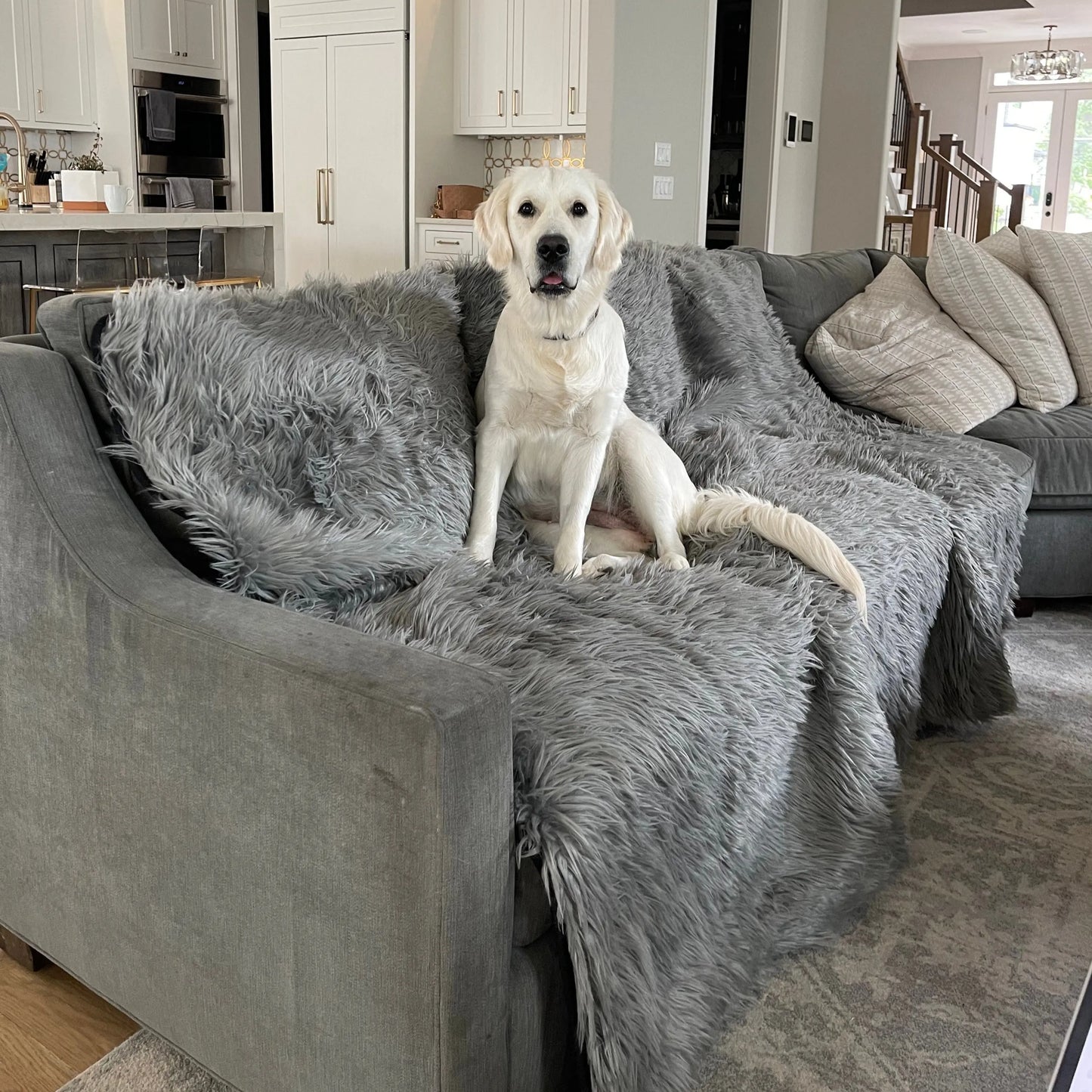 PupProtector™ Waterproof Throw Blanket - Charcoal Grey Paw.com