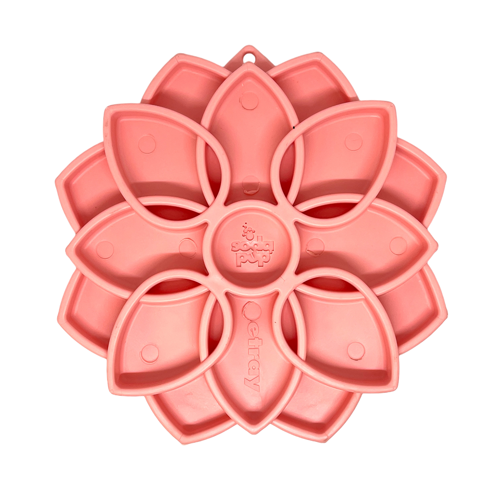 Mandala Softie eTray Shallow Slow Feeder Dog Bowl with Suction Cups | USA Made