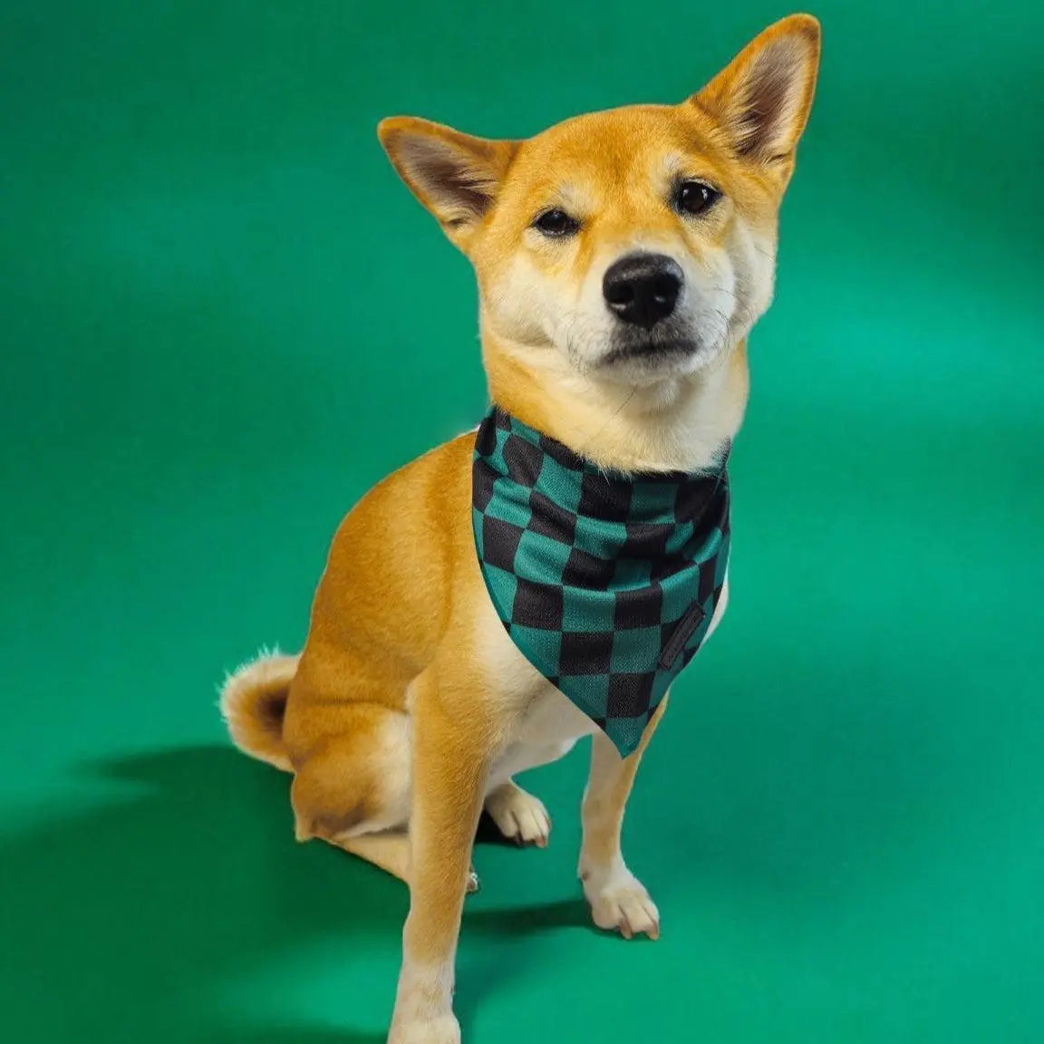 Ichimatsu Checker Cooling Bandana - K9 Outdoors