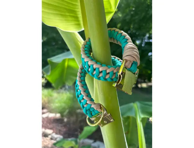 Infinity Braid in Teal & Light Tan - Handmade Dog Collar Pawsh Pup Co.