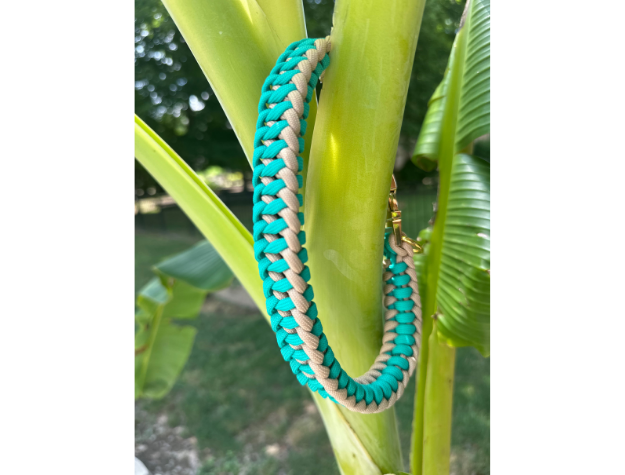 Infinity Braid in Teal & Light Tan - Handmade Dog Collar Pawsh Pup Co.