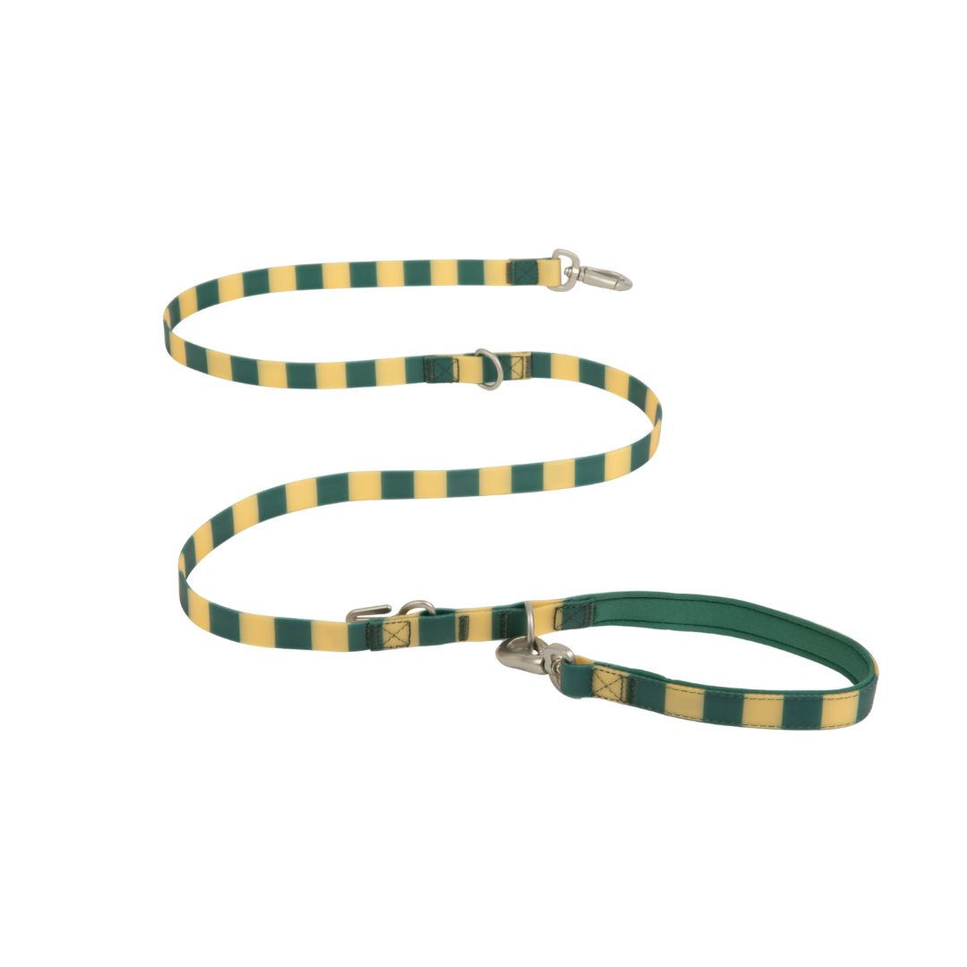 Waterproof Dog Leash - 5ft