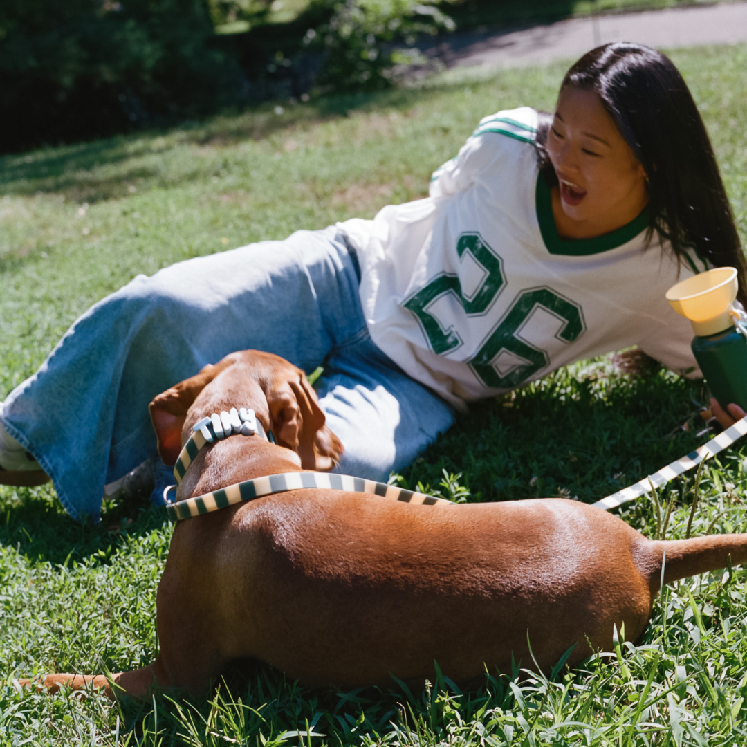 Waterproof Dog Leash - 5ft