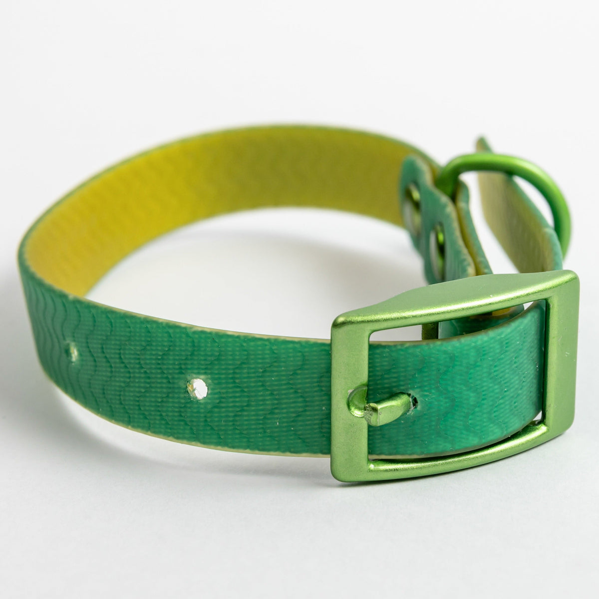 Jelly Collar - Waterproof Collar For Small Dogs (4 colors)