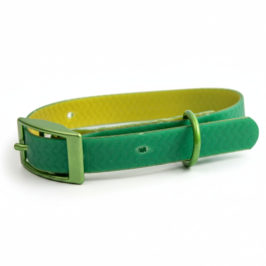 Jelly Collar - Waterproof Collar For Small Dogs (4 colors)