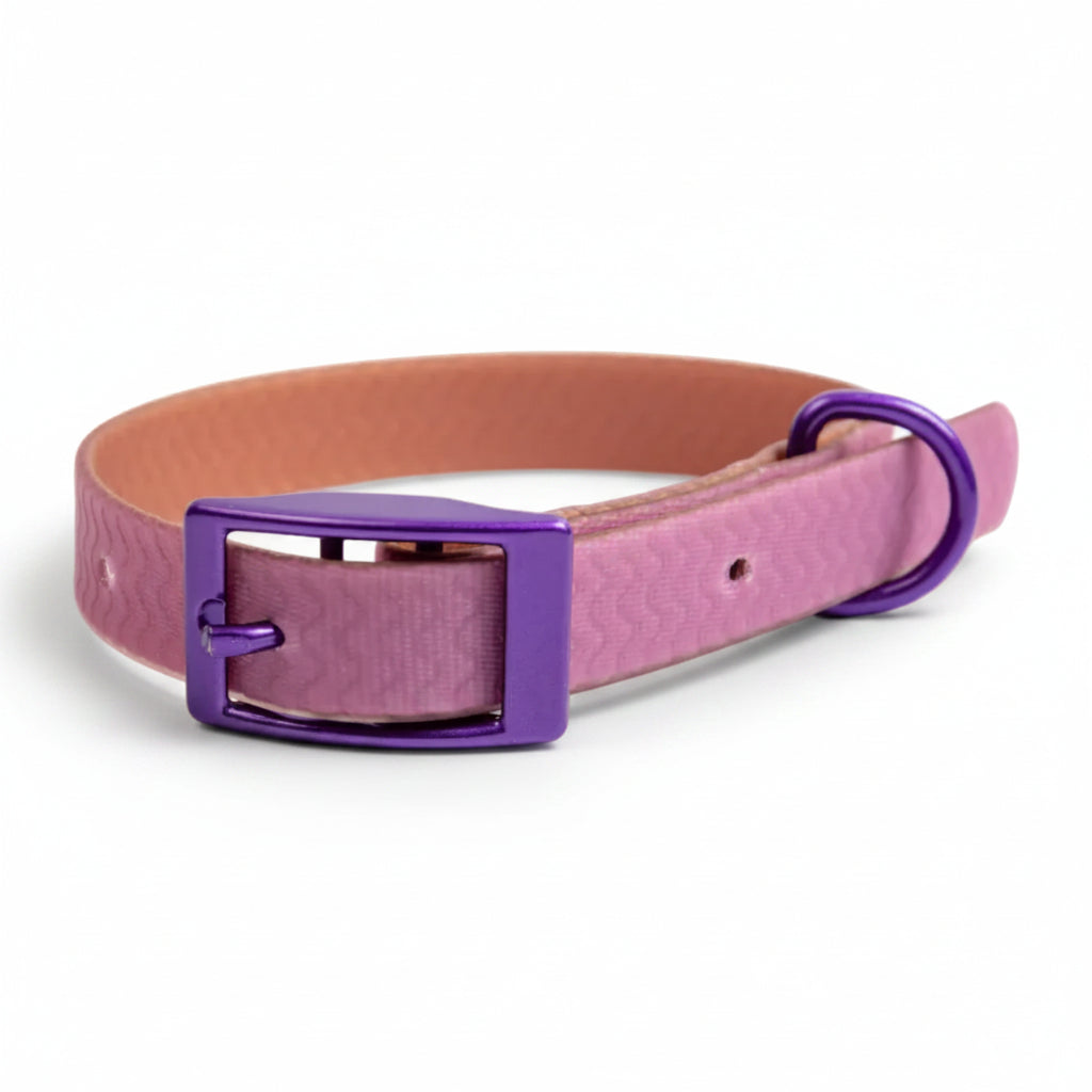 Jelly Collar - Waterproof Collar For Small Dogs (4 colors)