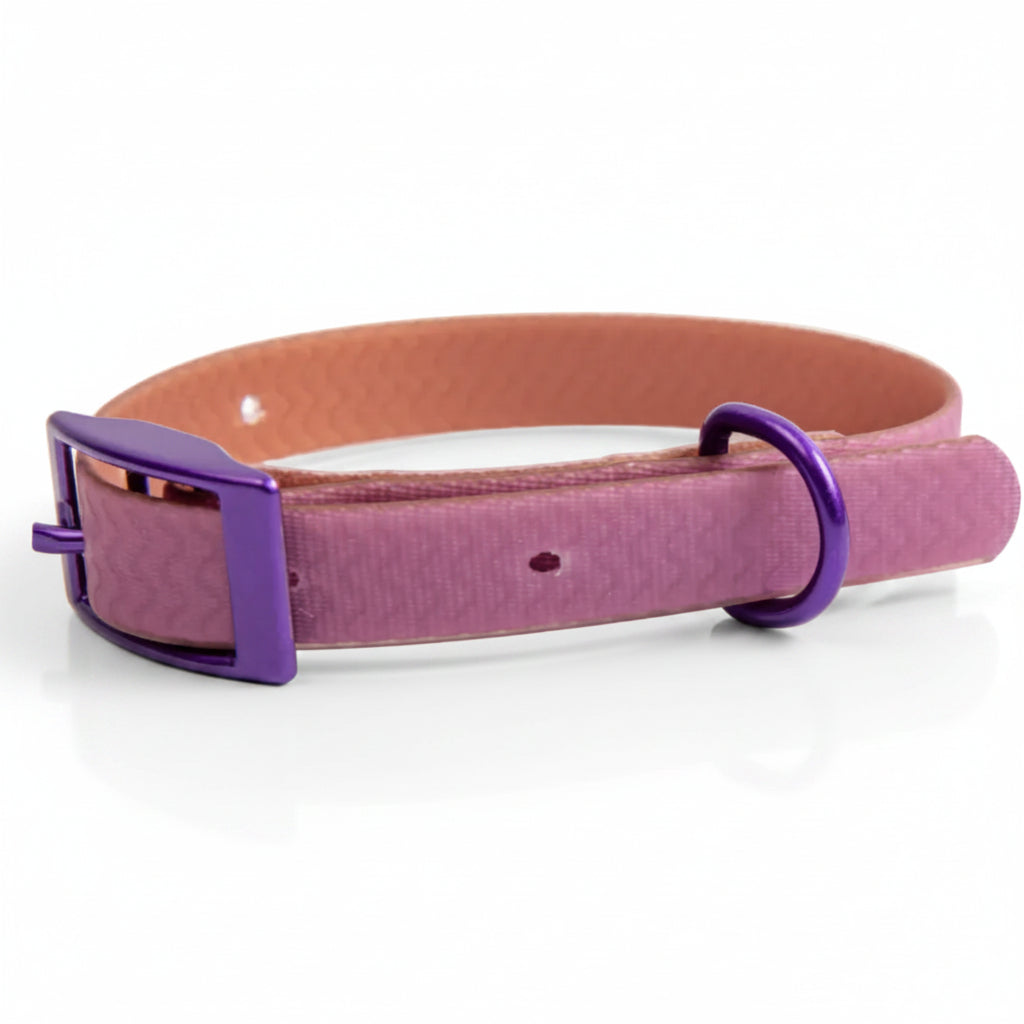Jelly Collar - Waterproof Collar For Small Dogs (4 colors)